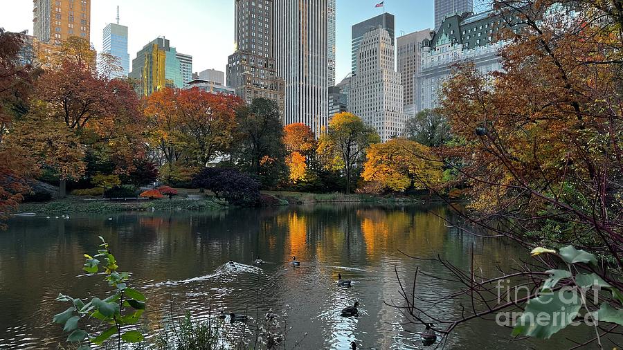 Central Park lake Photograph by Daryl Pritchard