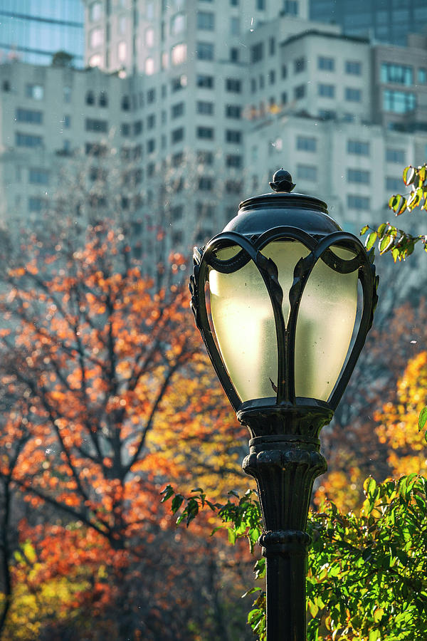 Central Park Lamp Post Photograph by Cate Franklyn