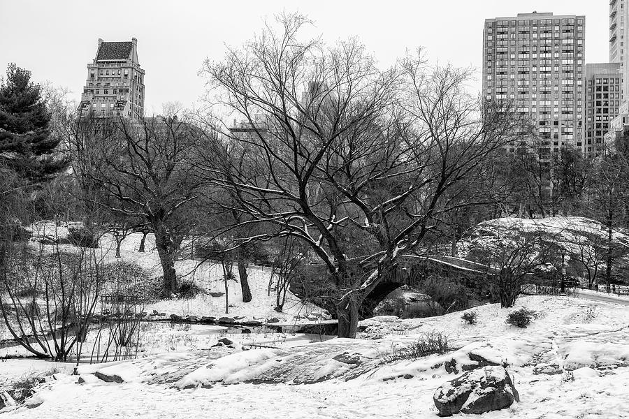 Central Park Landscape with Bridge Photograph by Cate Franklyn