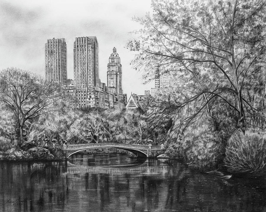 Central Park Drawing by Lena Auxier