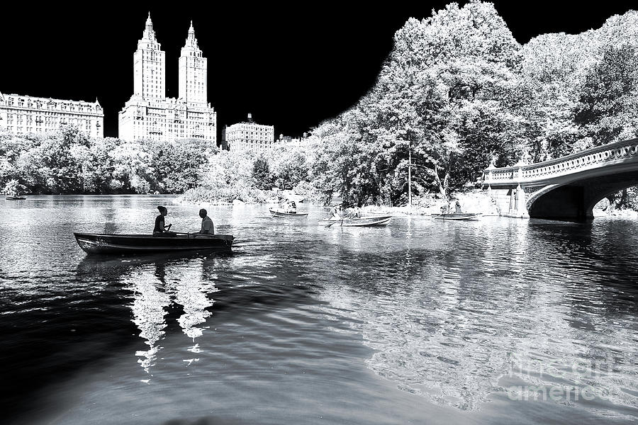 Central Park Light and Shadows in New York City Photograph by John Rizzuto
