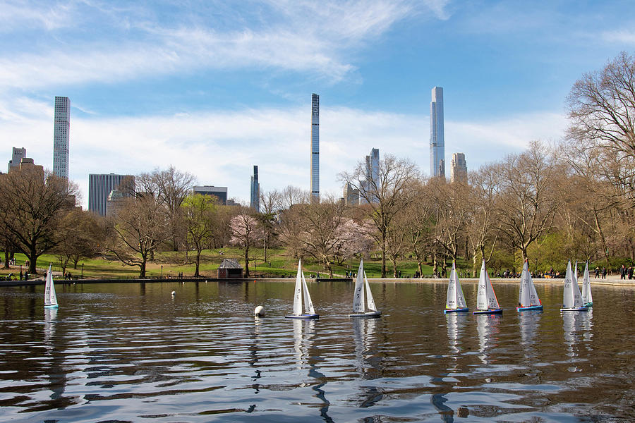 Central Park Model Sailboats, New York City Photograph by Nicole Freedman