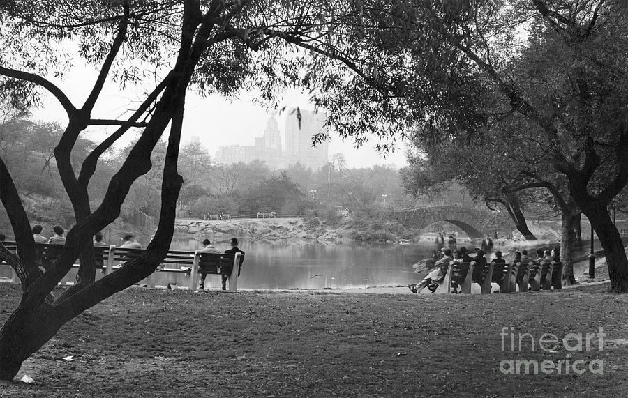 Central Park, New York, 1949 Photograph by Angelo Rizzuto