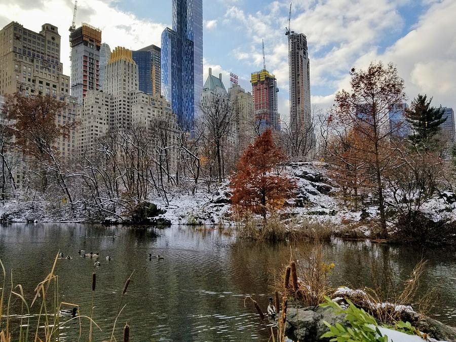 Central Park Pond Photograph by Melissa Krieg - Fine Art America