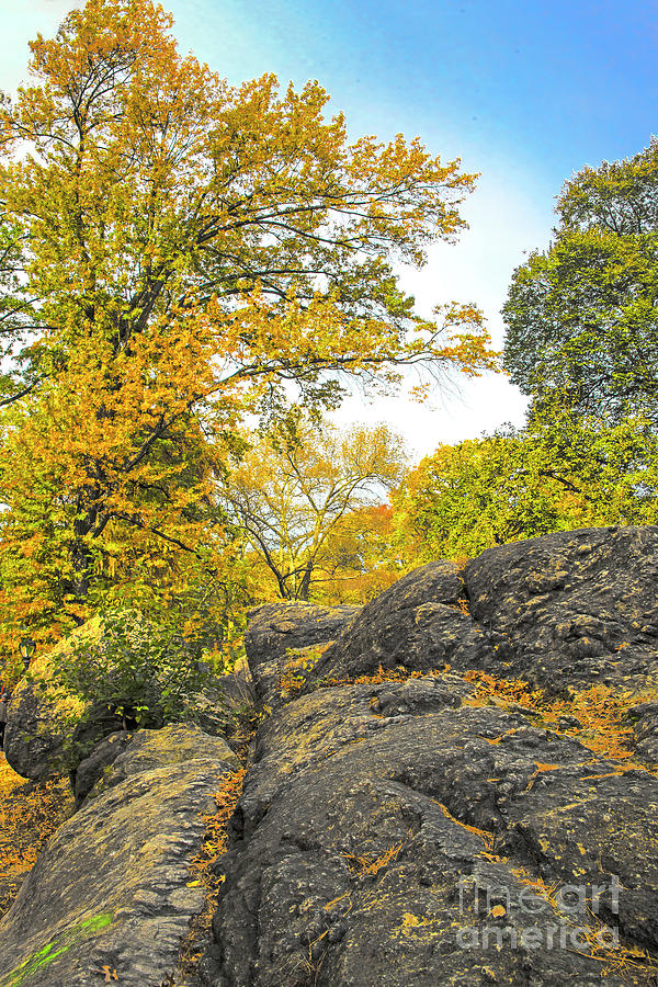 Central Park Rocks In Autumn Photograph