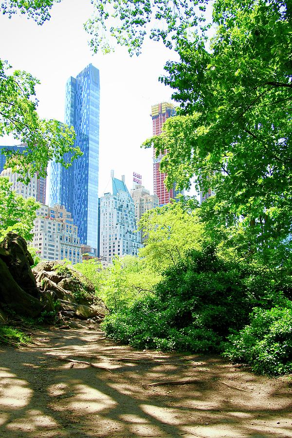 Central Park View of One57 Photograph by Joy Buckels