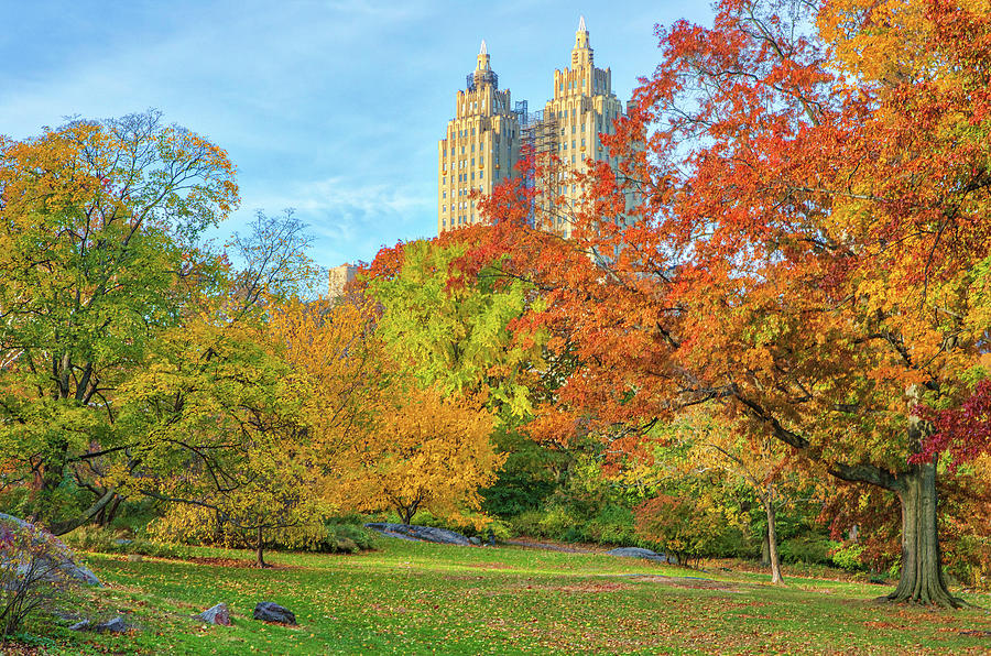 Central Park West  Photograph by Juergen Roth
