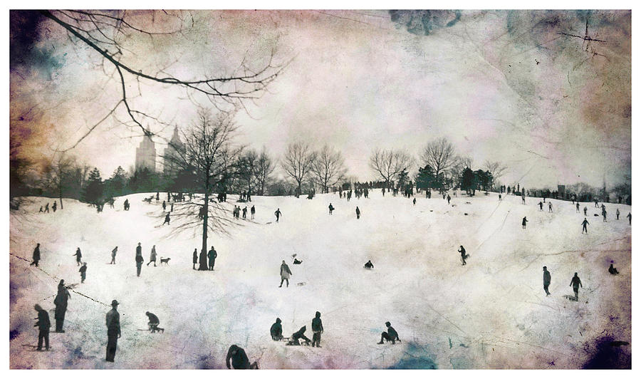 Central Park Winter /47 Photograph by Russel Considine