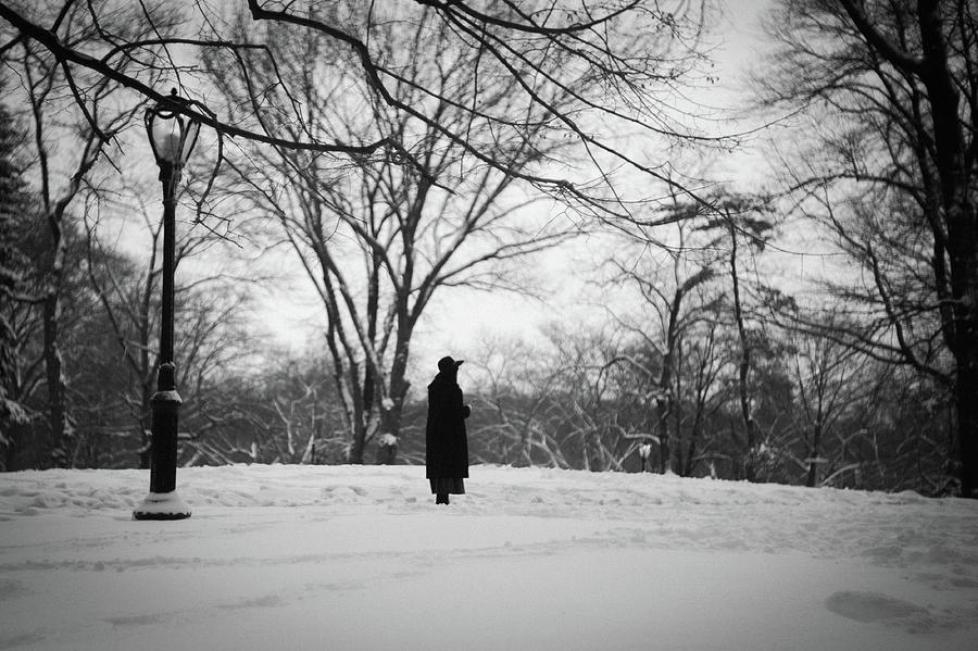 Central Park Winter Photograph by Eugene Nikiforov
