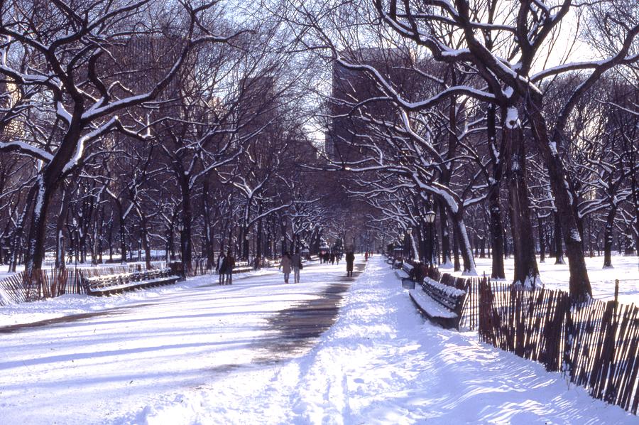 Central Park Winter Path Photograph by Russel Considine