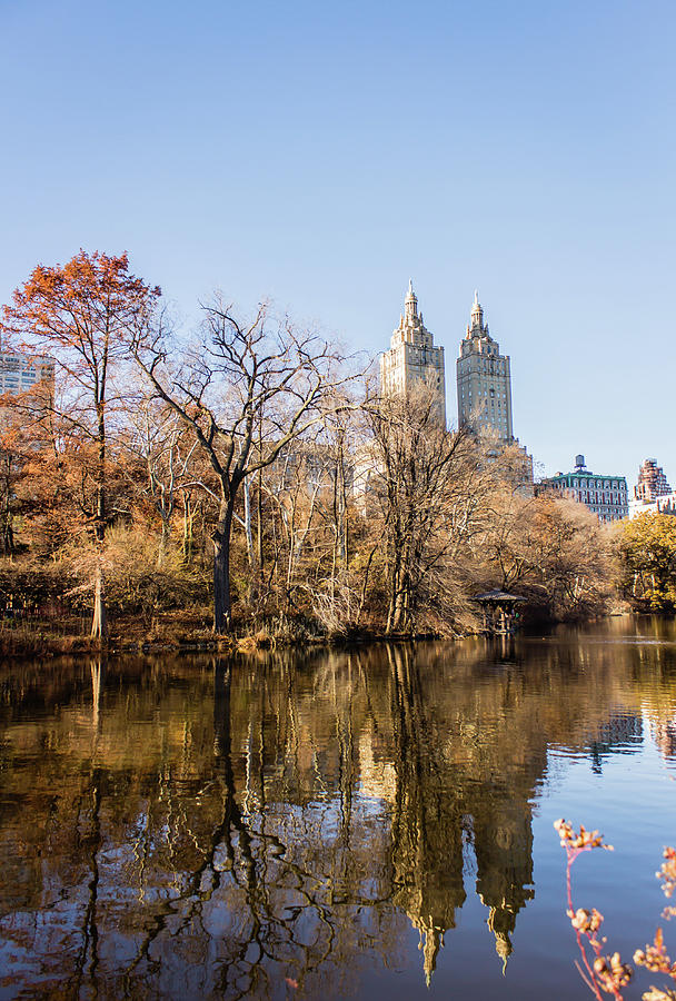 NYC Central Park Photograph by Yani DeSousa - Fine Art America