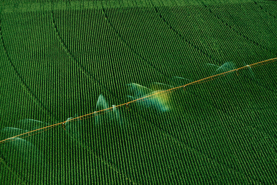 Central pivot irrigation system, shot from above, Nebraska Photograph by Glowimages