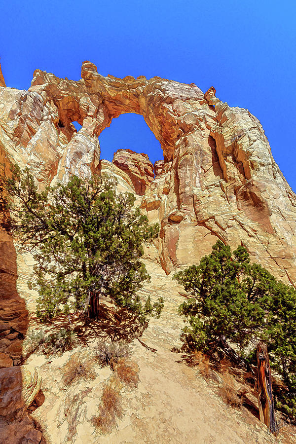 Centuries of Existence Photograph by ABeautifulSky Photography by Bill Caldwell Centuries of Existence Photograph by ABeautifulSky Photography by Bill Caldwell