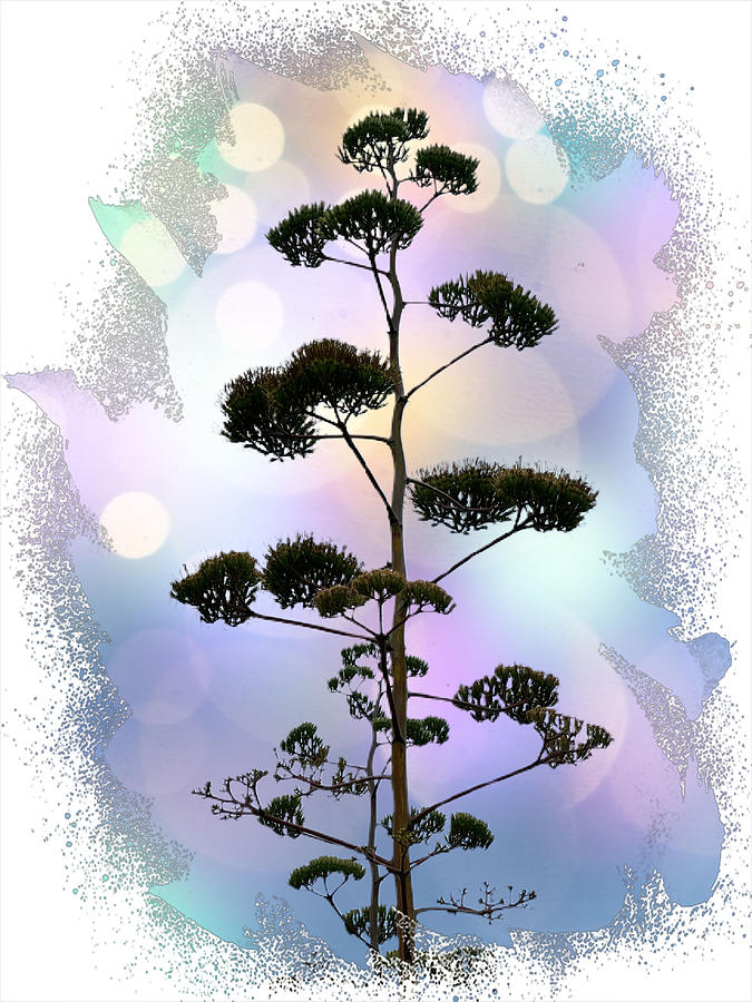 Century Plant Digital Art by Kathleen Boyles