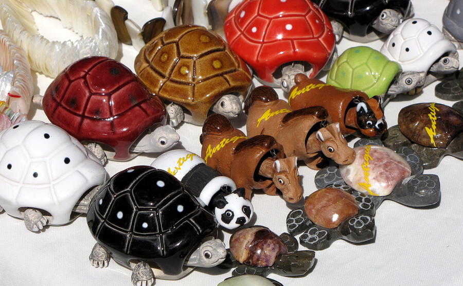 Ceramic Turtles Photograph by Don Varney - Fine Art America