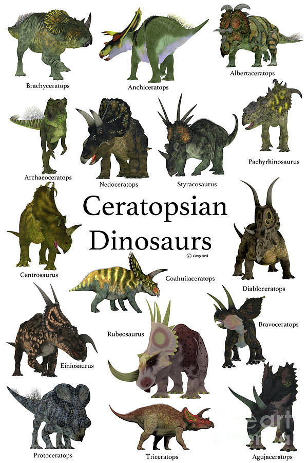 Ceratopsian Dinosaurs Digital Art by Corey Ford