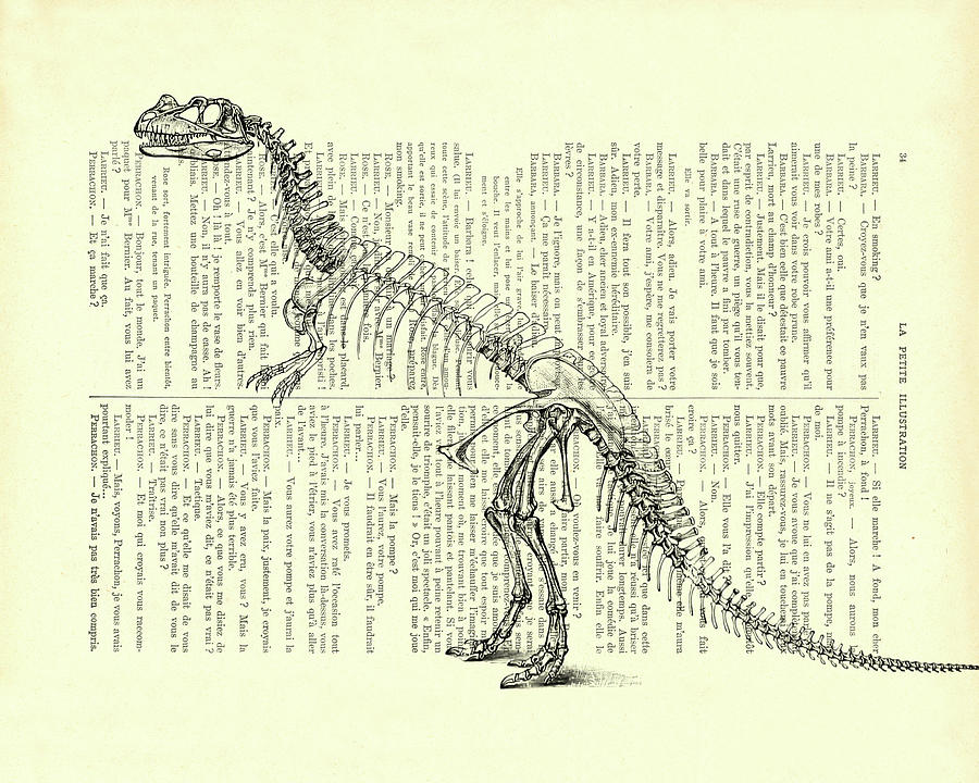 Dinosaur Mixed Media - Ceratosaurus Skeleton by Madame Memento