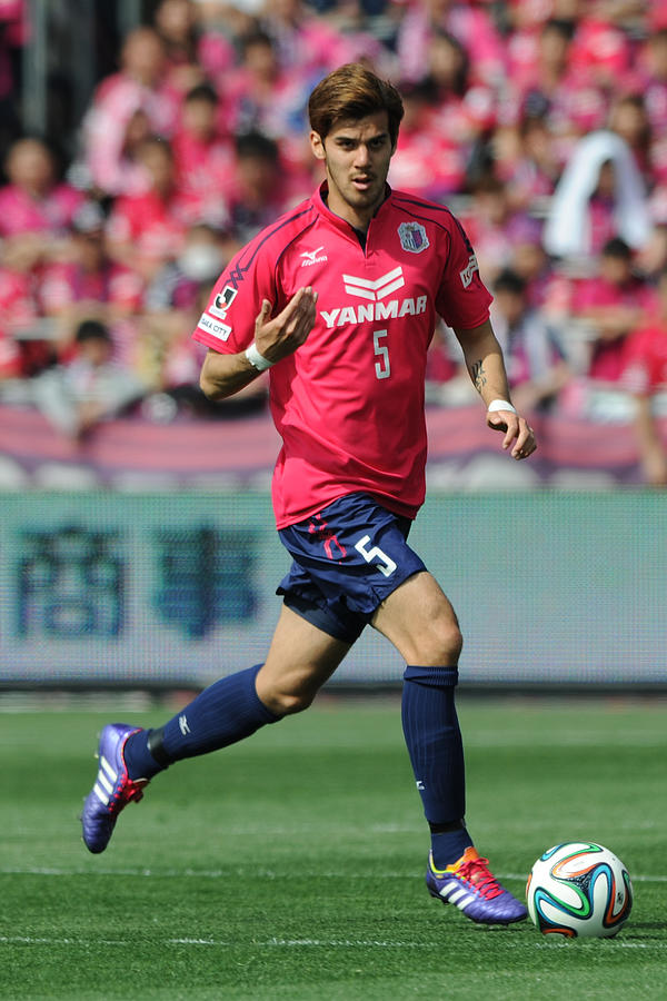 Cerezo Osaka v Albirex Niigata - J.League 2014 Photograph by Kaz Photography