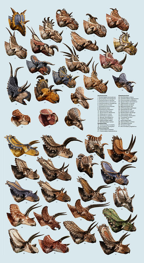 Ceratopsian Cornucopia Blue Vertical Digital Art by Julius Csotonyi