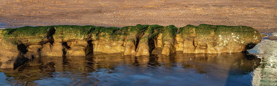 Cerritos Beach Rocks Photograph by Tommy Farnsworth