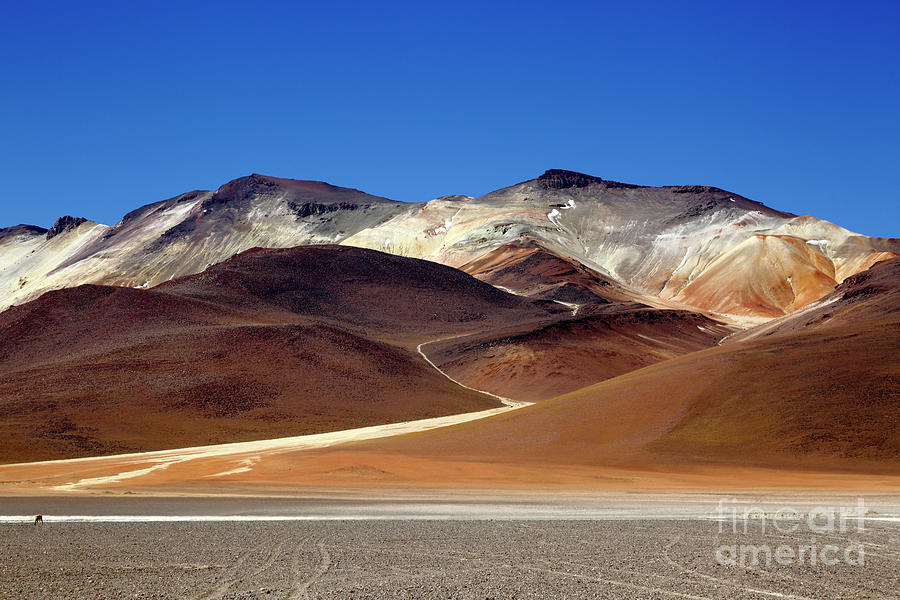 Desert Photograph - Cerro Poderosa Volcano Bolivia by James Brunker