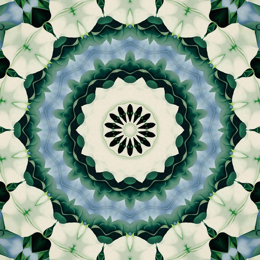 Cerulean Blue and Sacramento Green Mandala Digital Art by Taiche Acrylic Art