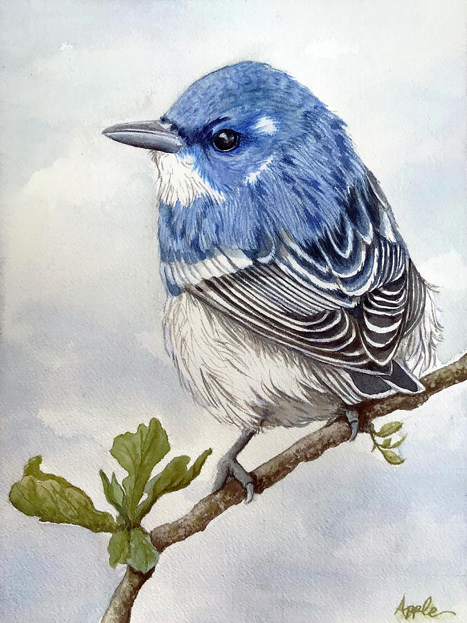 Cerulean Warbler - original watercolor Painting by Linda Apple