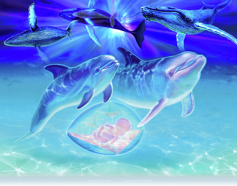 Cetaceans2 Digital Art by Jean-Luc Bozzoli