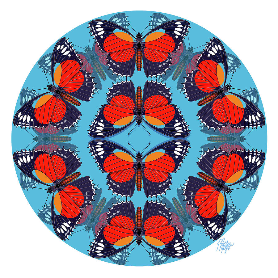 Butterfly Digital Art - Cethosia Butterfly Mandala by Tim Phelps