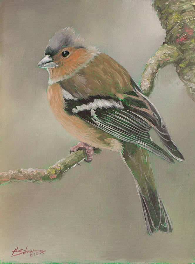Chaffinch I portrait Painting by John Silver