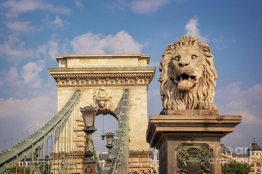 Chain bridge in Budapest Photograph by Delphimages Photo Creations