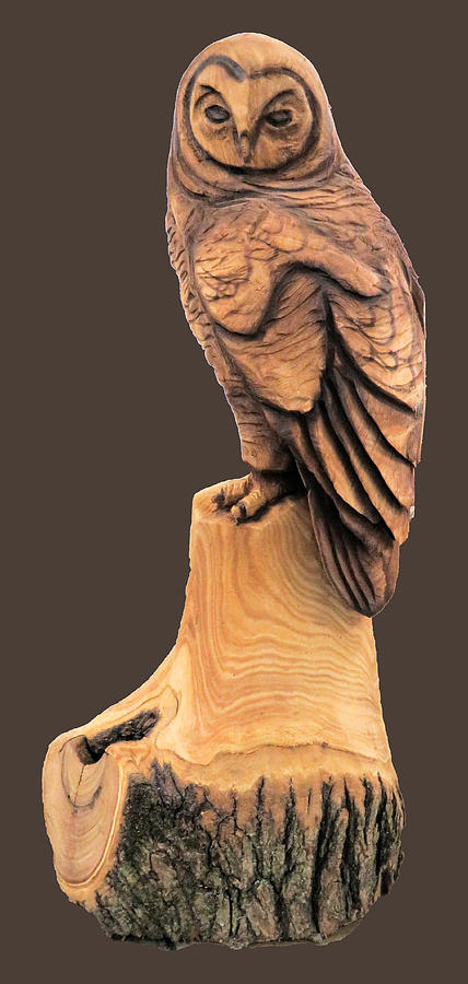 Chainsaw Art - Owl On Stump - Png Photograph