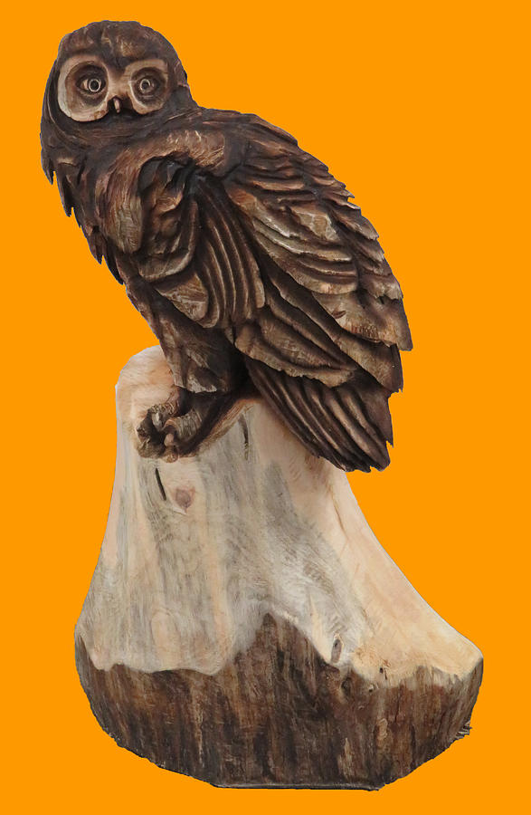 Chainsaw Art - Owl - Png Photograph