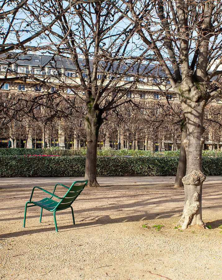 Chair in Le Palais Royal Gardens Photograph by Kirill Rudenko