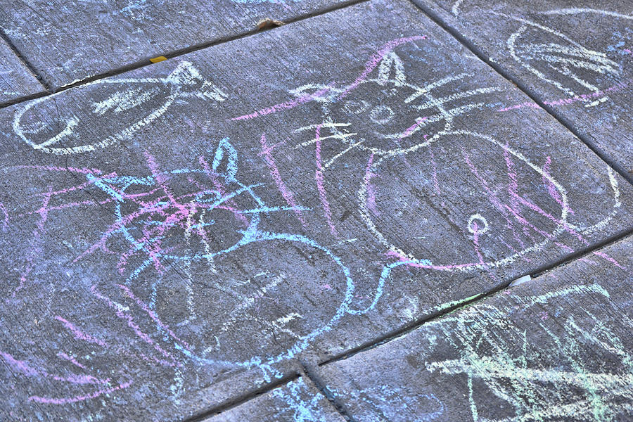 Cat Photograph - Chalk Cats by Jamart Photography