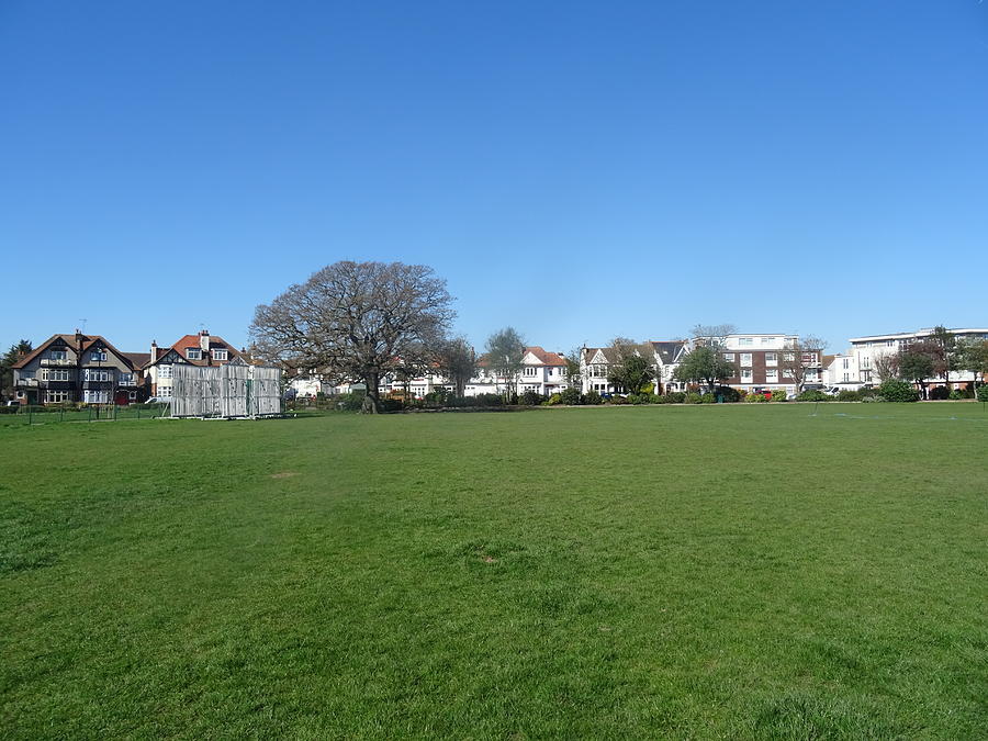 Chalkwell Park Trees Photograph By John Bridge - Pixels