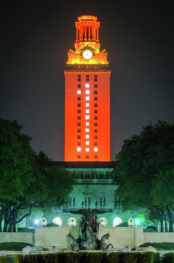 Horse Photograph - Championship UT Tower by Preston Broadfoot