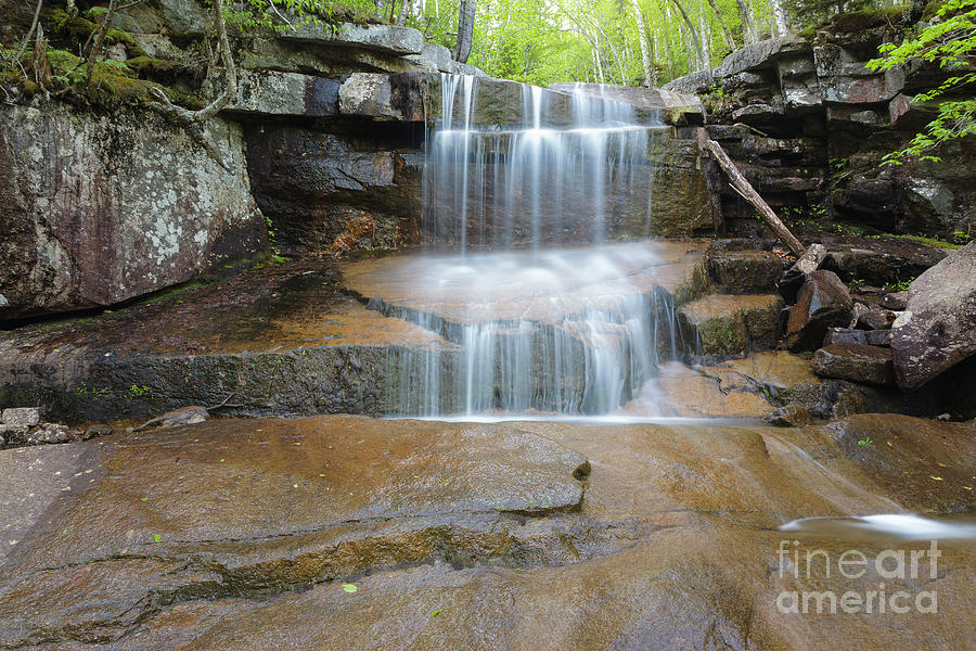 Champney Falls - Albany, New Hampshire Photograph by Erin Paul Donovan