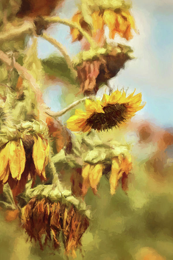 Change of Seasons Painterly Version I Photograph by Carrie Ann Grippo-Pike