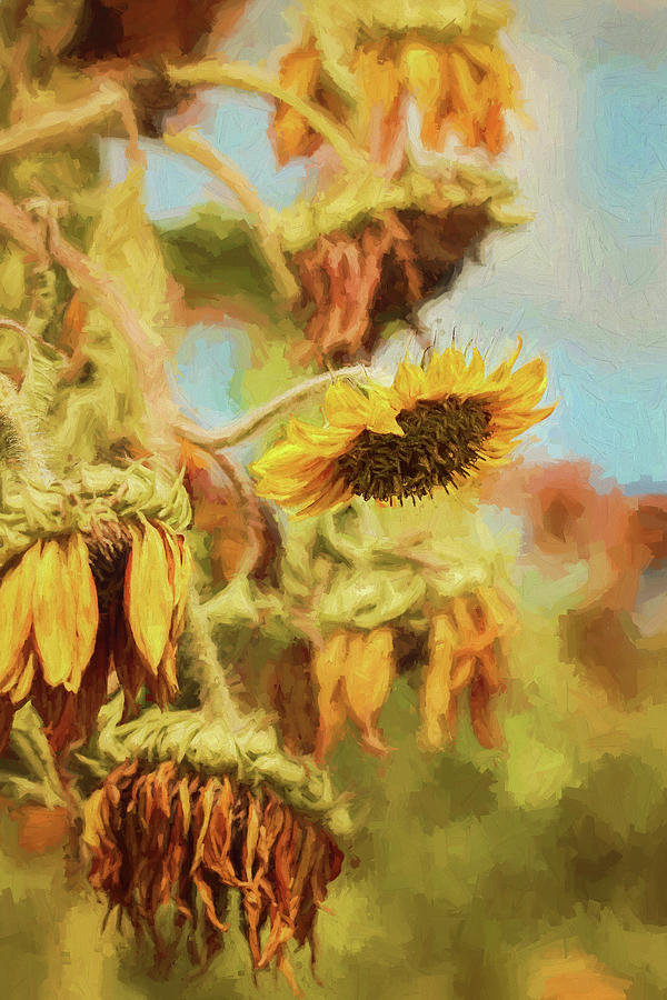 Change of Seasons Painterly Version II Photograph by Carrie Ann Grippo-Pike