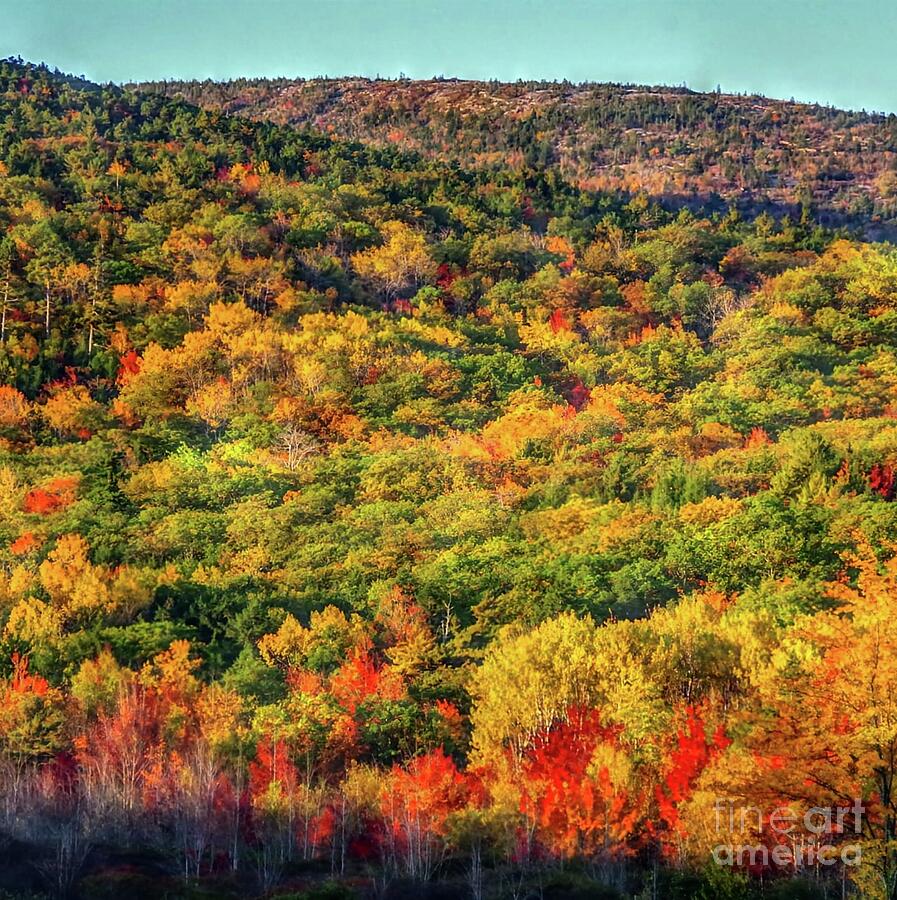 Autumn Color Change Photograph by Scott Mason Photography - Fine Art ...