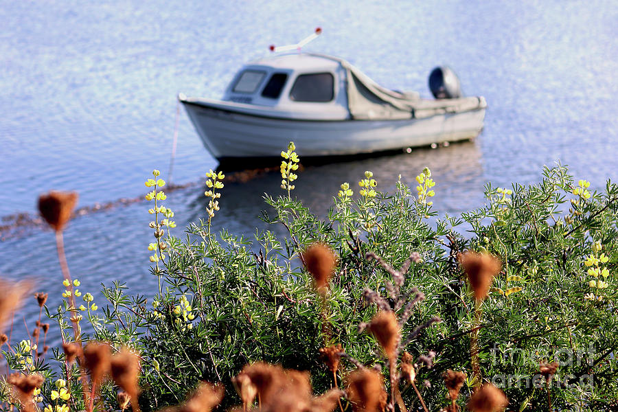 Changing Seasons at Mylor Creek Photograph by Terri Waters