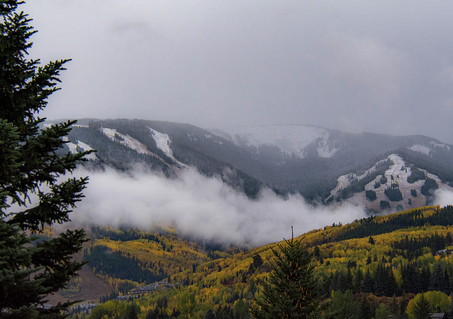 Changing Seasons Colorado Photograph by Brian Howerton