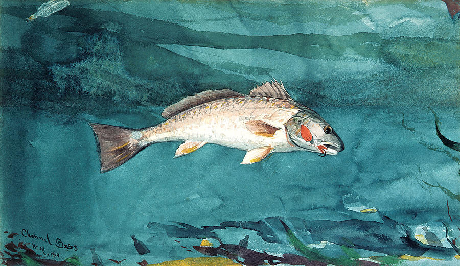 Channel Bass - Winslow Homer 1904 Painting by War Is Hell Store
