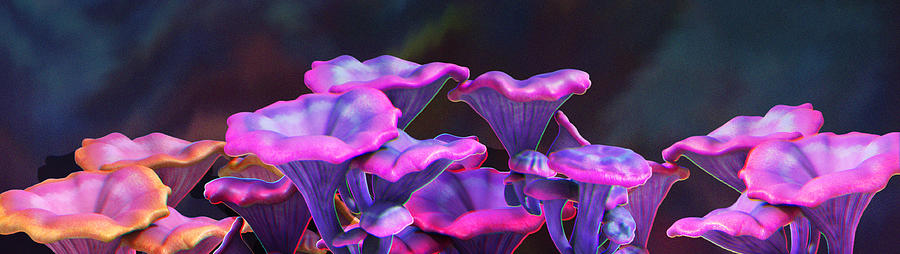 Mushroom Digital Art - Chanterelles by Sasha Shatokhina