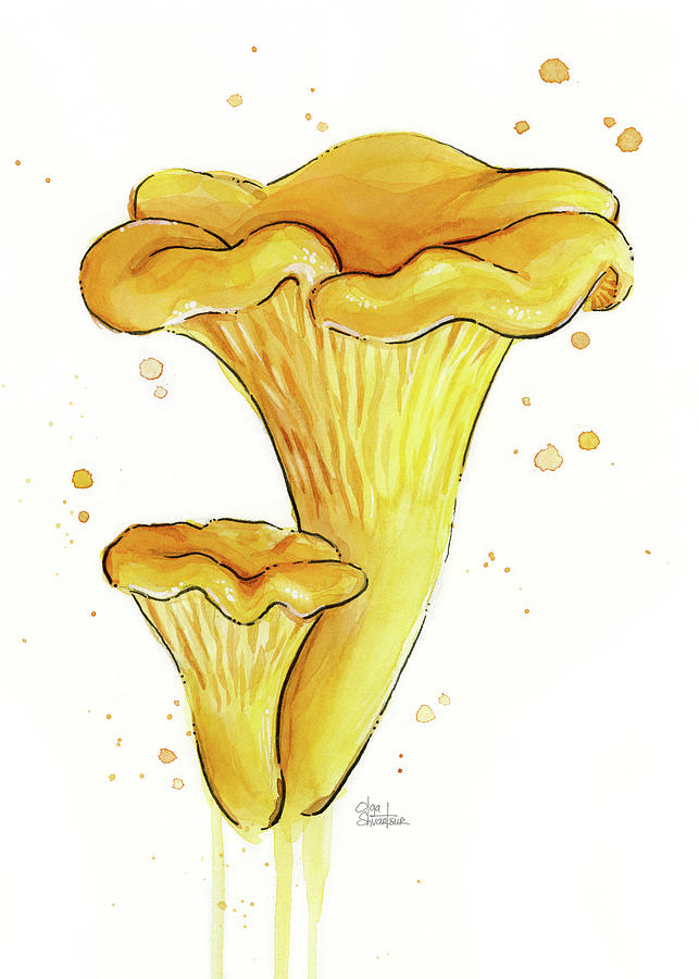 Mushroom Painting - Chanterelles Watercolor Painting by Olga Shvartsur
