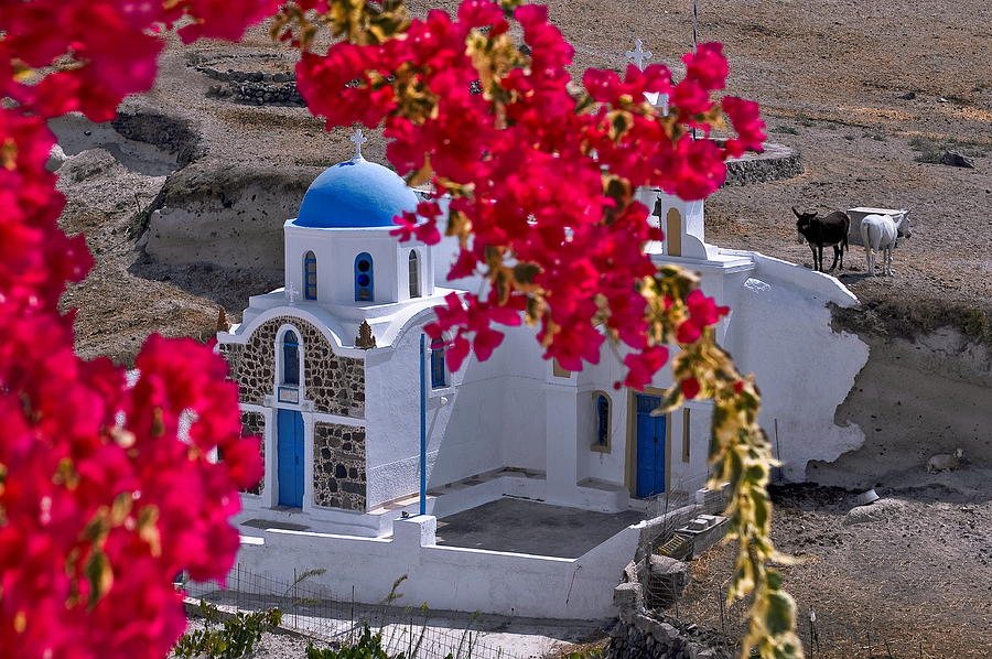 Chapel at Santorini and little donkeys Photograph by Photo By Dimitrios Tilis