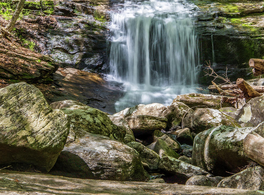 Chapel Falls in Spring 1 Photograph by Michael Saunders