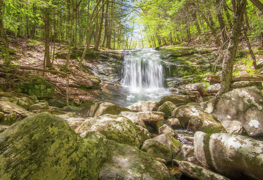 Chapel Falls in Spring 3 Photograph by Michael Saunders