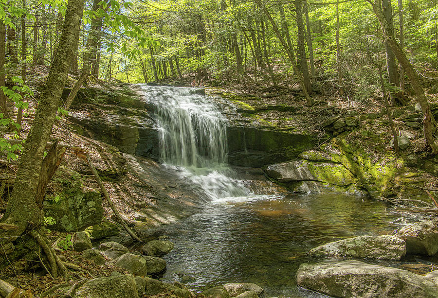 Chapel Falls in Spring 5 Photograph by Michael Saunders